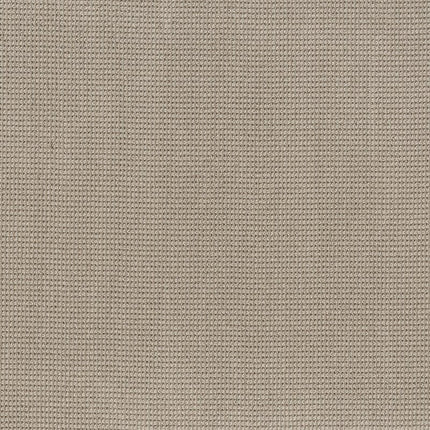 Inspired - ZZ317-00171-Carpet