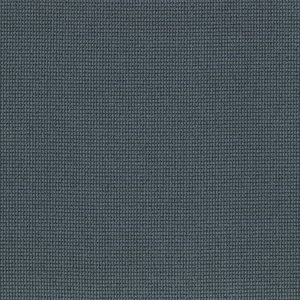 Inspired - ZZ317-00447-Carpet