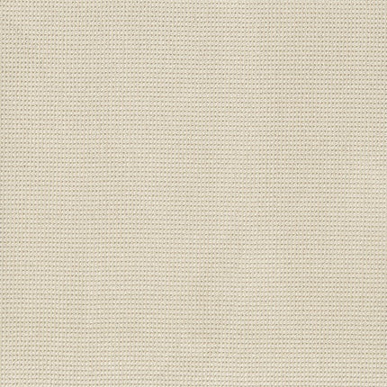 Inspired - ZZ317-00112-Carpet