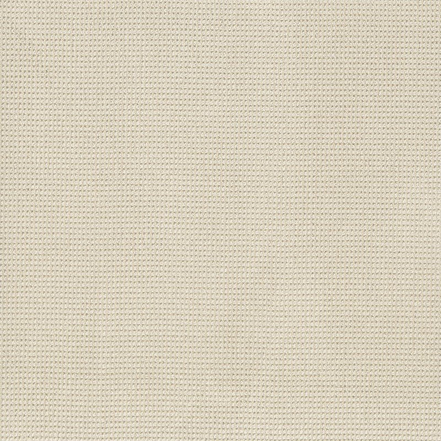 Inspired - ZZ317-00112-Carpet