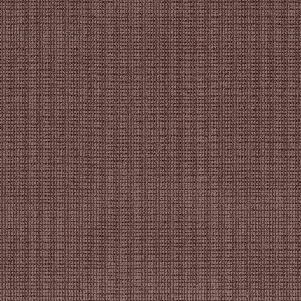 Inspired - ZZ317-00894-Carpet