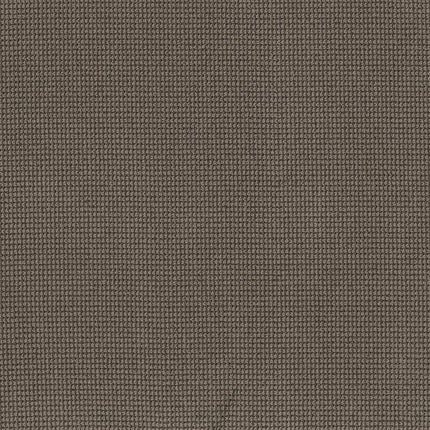 Inspired - ZZ317-00775-Carpet