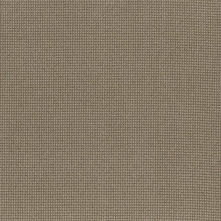 Inspired - ZZ317-00753-Carpet
