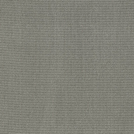 Inspired - ZZ317-00553-Carpet