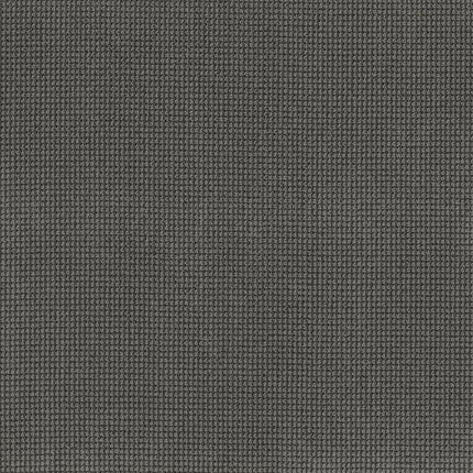 Inspired - ZZ317-00555-Carpet