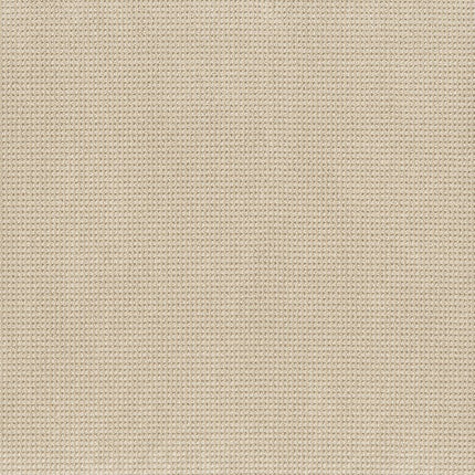 Inspired - ZZ317-00113-Carpet