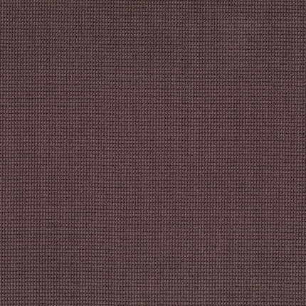 Inspired - ZZ317-00986-Carpet