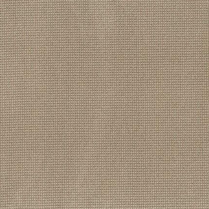 Inspired - ZZ317-00712-Carpet
