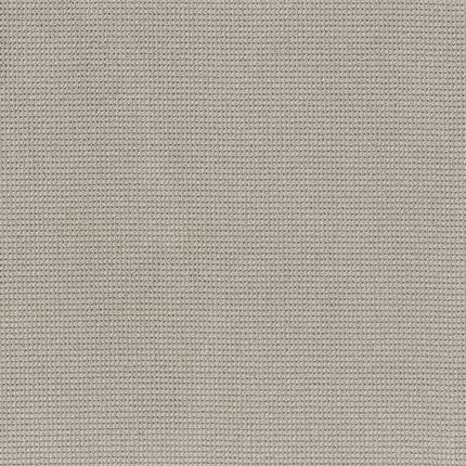 Inspired - ZZ317-00551-Carpet