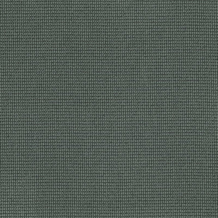 Inspired - ZZ317-00356-Carpet
