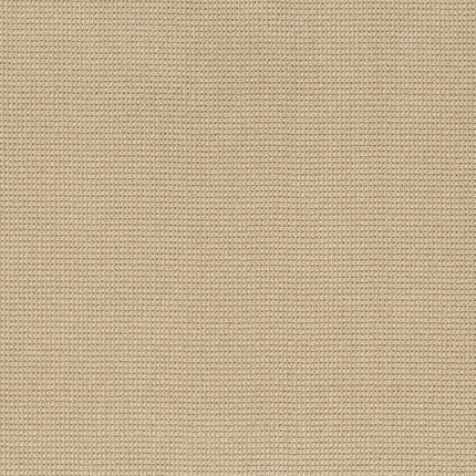 Inspired - ZZ317-00222-Carpet