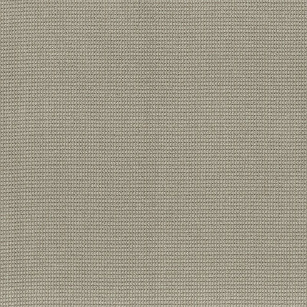 Inspired - ZZ317-00571-Carpet