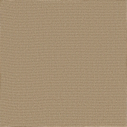 Inspired - ZZ317-00223-Carpet
