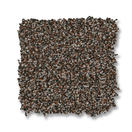 Kaleidoscope - ZZ255_00658-Carpet