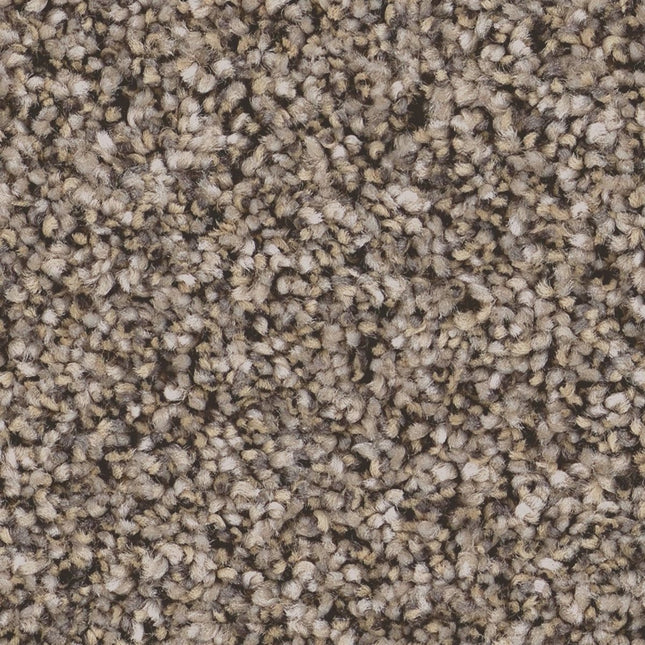 Kaleidoscope - ZZ255_00172-Carpet