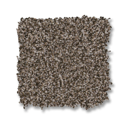 Kaleidoscope - ZZ255_00755-Carpet