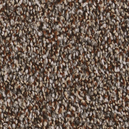 Kaleidoscope - ZZ255_00665-Carpet