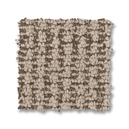 Laine - ZZ361_00704-Carpet