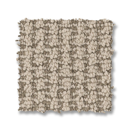 Laine - ZZ361_00701-Carpet