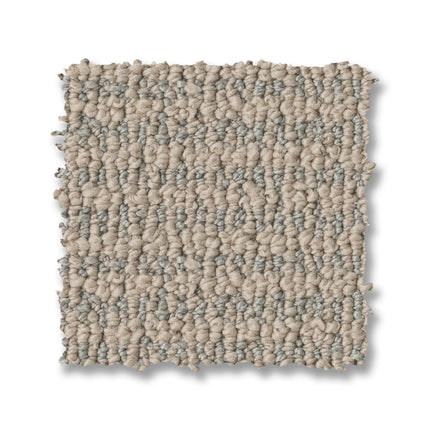 Laine - ZZ361_00403-Carpet