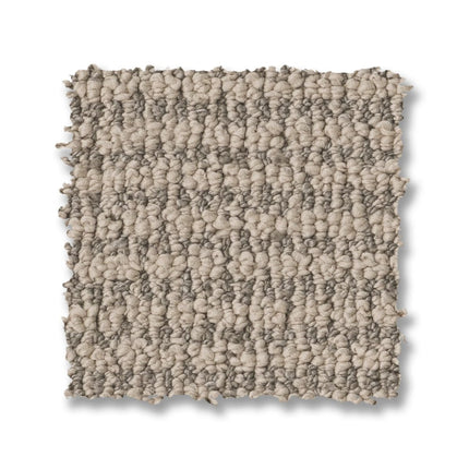 Laine - ZZ361_00702-Carpet