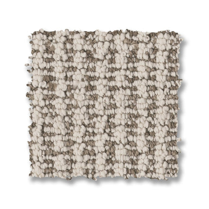 Laine - ZZ361_00105-Carpet