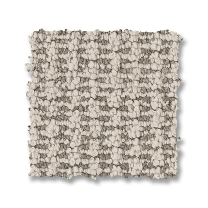 Laine - ZZ361_00107-Carpet