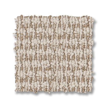 Laine - ZZ361_00104-Carpet