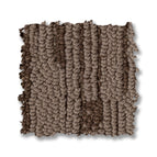 Wild Mustang