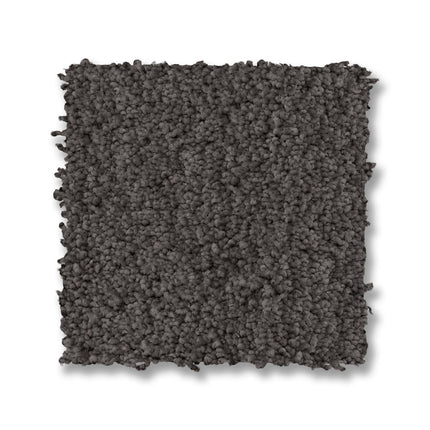 Luxe Feel I - ZZ321_00529-Carpet