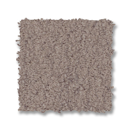 Luxe Feel I - ZZ321_00523-Carpet