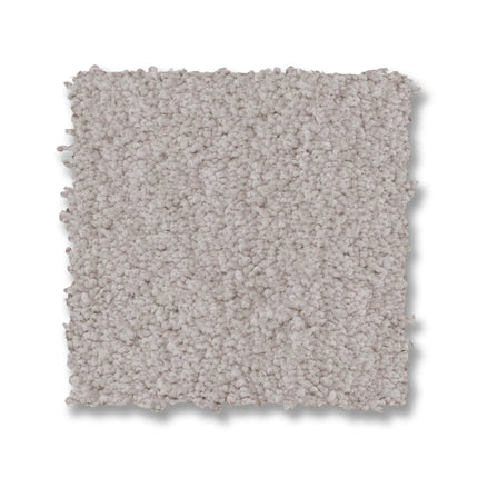 Luxe Feel I - ZZ321_00124-Carpet