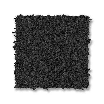 Luxe Feel I - ZZ321_00542-Carpet