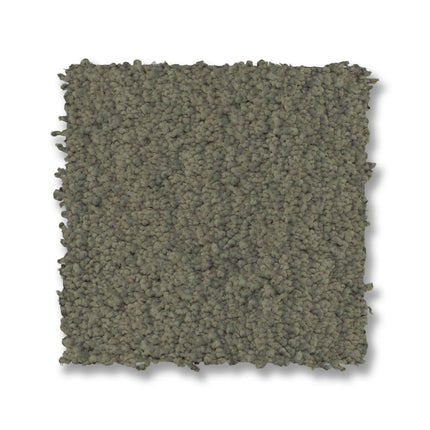 Luxe Feel I - ZZ321_00342-Carpet
