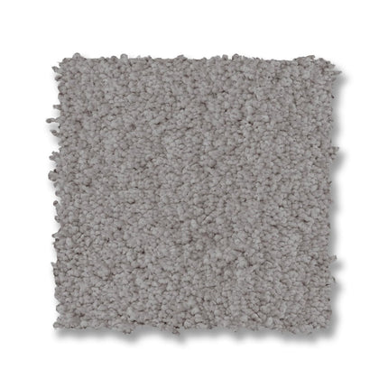 Luxe Feel I - ZZ321_00541-Carpet