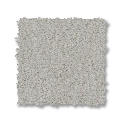 Luxe Feel I - ZZ321_00340-Carpet