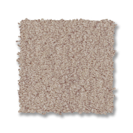 Luxe Feel I - ZZ321_00126-Carpet