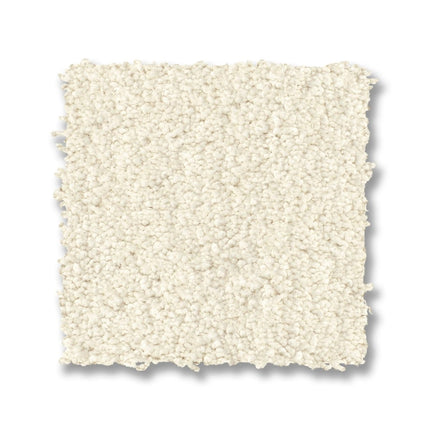 Luxe Feel I - ZZ321_00100-Carpet