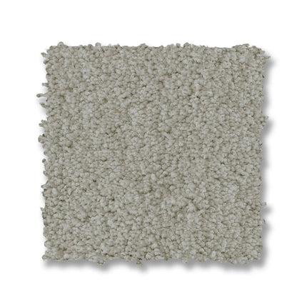 Luxe Feel I - ZZ321_00341-Carpet