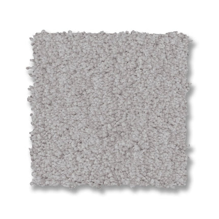 Luxe Feel I - ZZ321_00540-Carpet