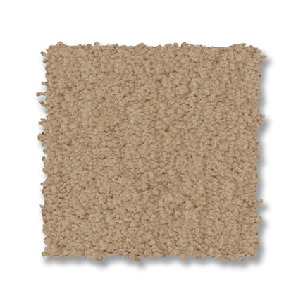 Luxe Feel I - ZZ321_00221-Carpet