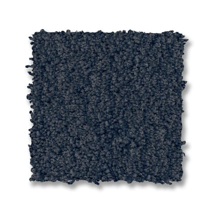 Luxe Feel I - ZZ321_00443-Carpet
