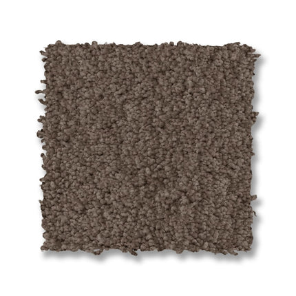 Luxe Feel I - ZZ321_00724-Carpet