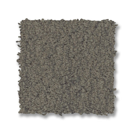 Luxe Feel I - ZZ321_00343-Carpet