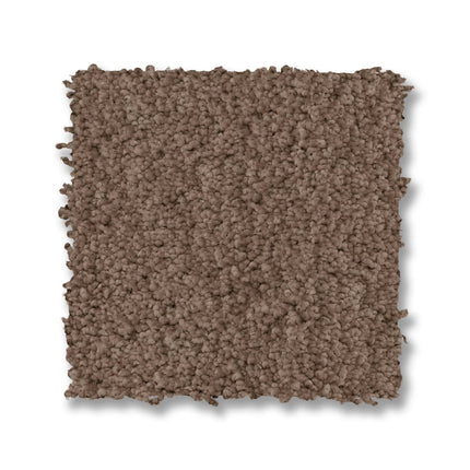 Luxe Feel I - ZZ321_00722-Carpet