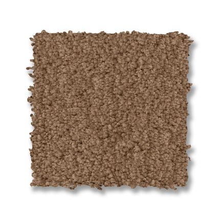 Luxe Feel I - ZZ321_00240-Carpet