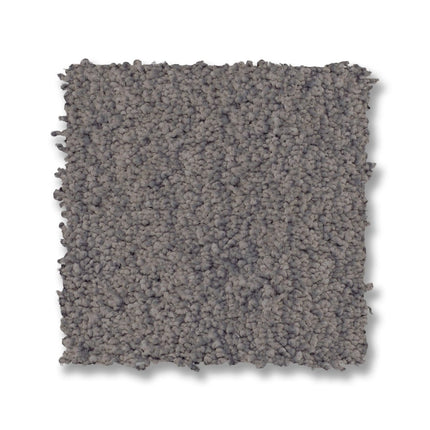 Luxe Feel I - ZZ321_00527-Carpet