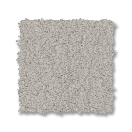 Luxe Feel I - ZZ321_00123-Carpet
