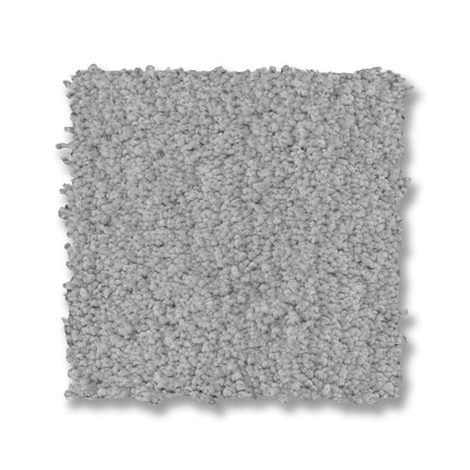 Luxe Feel I - ZZ321_00441-Carpet