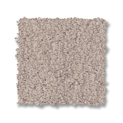 Luxe Feel I - ZZ321_00511-Carpet
